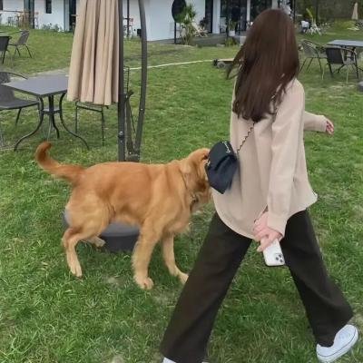 贱女人